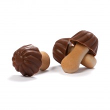 Mushrooms with caramel...
