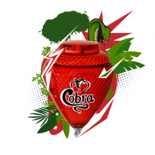 Pião Cobra