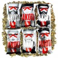 Sunflower Seed Dakota Special Edition case with 8 Bags of 140Gr